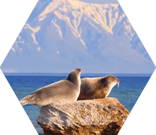 Экспедиция 1