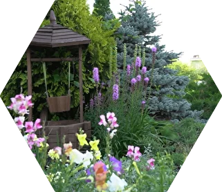 Экспедиция 8