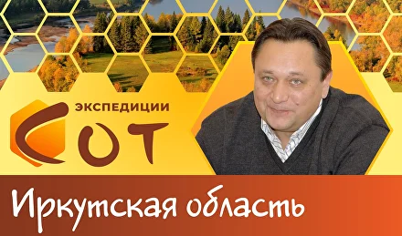 Экосистема Байкала