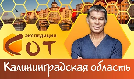 Вся правда об образовании