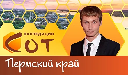 Реальные школы