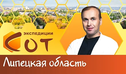Образование в Липецкой области