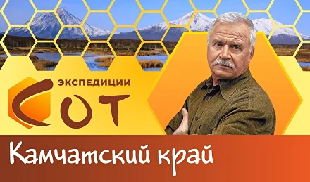 Образование в Камчатском крае