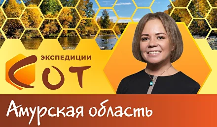 Образование в Амурской области