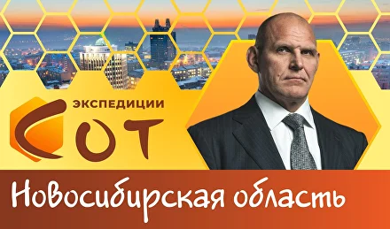 Образование в Новосибирской области