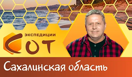 Образование в Сахалинской области