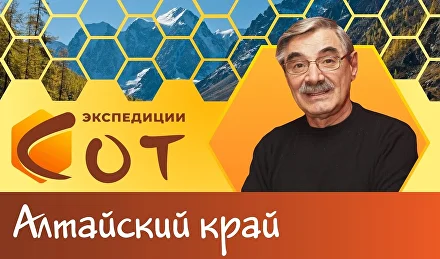 Образование в Алтайском крае