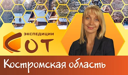 Образование в Костромской области