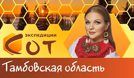 Образование в Тамбовской области