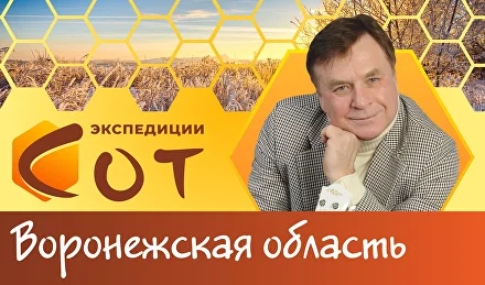Образование в Воронежской области