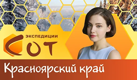 Образование в Красноярском крае